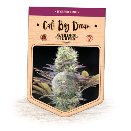 Garden of Green - Cali Bay Dream (5-Pack) + 3 Free - Image 2