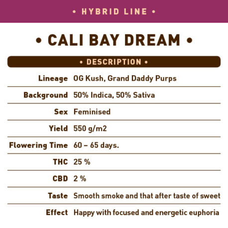 Garden of Green - Cali Bay Dream (5-Pack) + 3 Free - Image 3