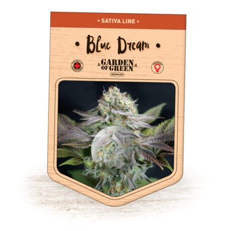 Garden of Green - Blue Dream (5-Pack) + 3 Free - Image 2