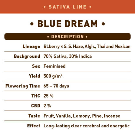 Garden of Green - Blue Dream (5-Pack) + 3 Free - Image 3
