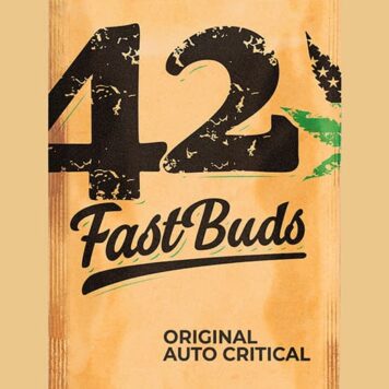 Fastbuds Seeds - Original Auto Critical