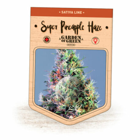 Garden of Green - Super Pineapple Haze (5-Pack) + 3 Free - Image 2