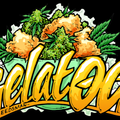 Seedsman - Gelat.OG (5-Pack)