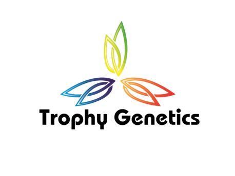 Trophy Genetics - Northern Lights Feminized