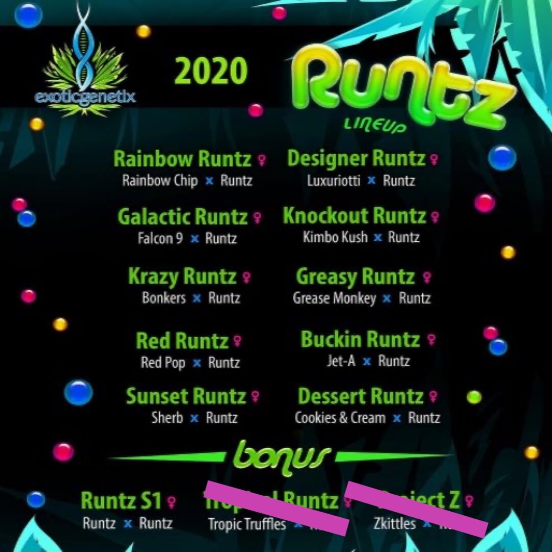 Exotic Genetix - 2020 Runtz Player Box (Out Of Box)