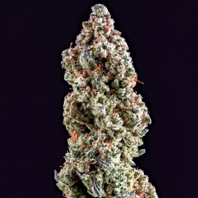 Strain Review: End Game RBX a/k/a The Punch Line